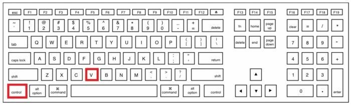 Чтобы быстро вставить документ в Word, нажмите комбинацию клавиш «Ctrl + V»