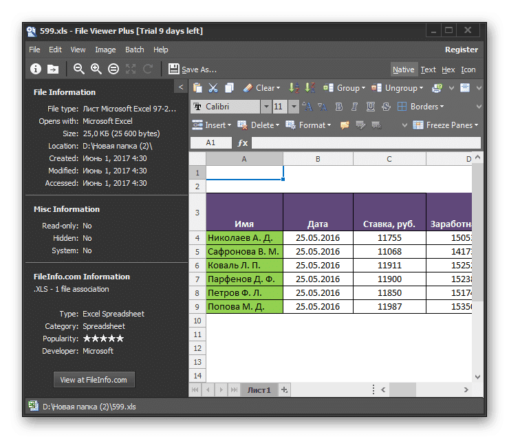 Файл XLS открыт в File Viewer Plus