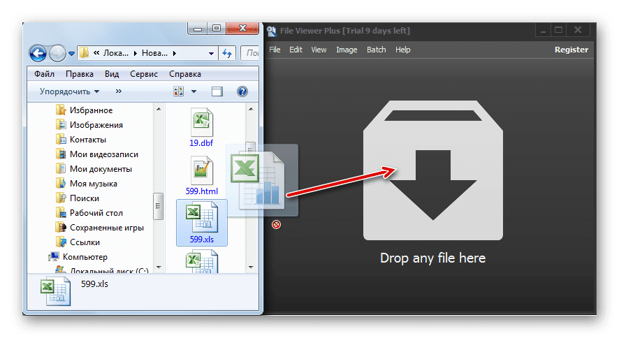 Перетащите файл XLS из проводника Windows в File Viewer Plus